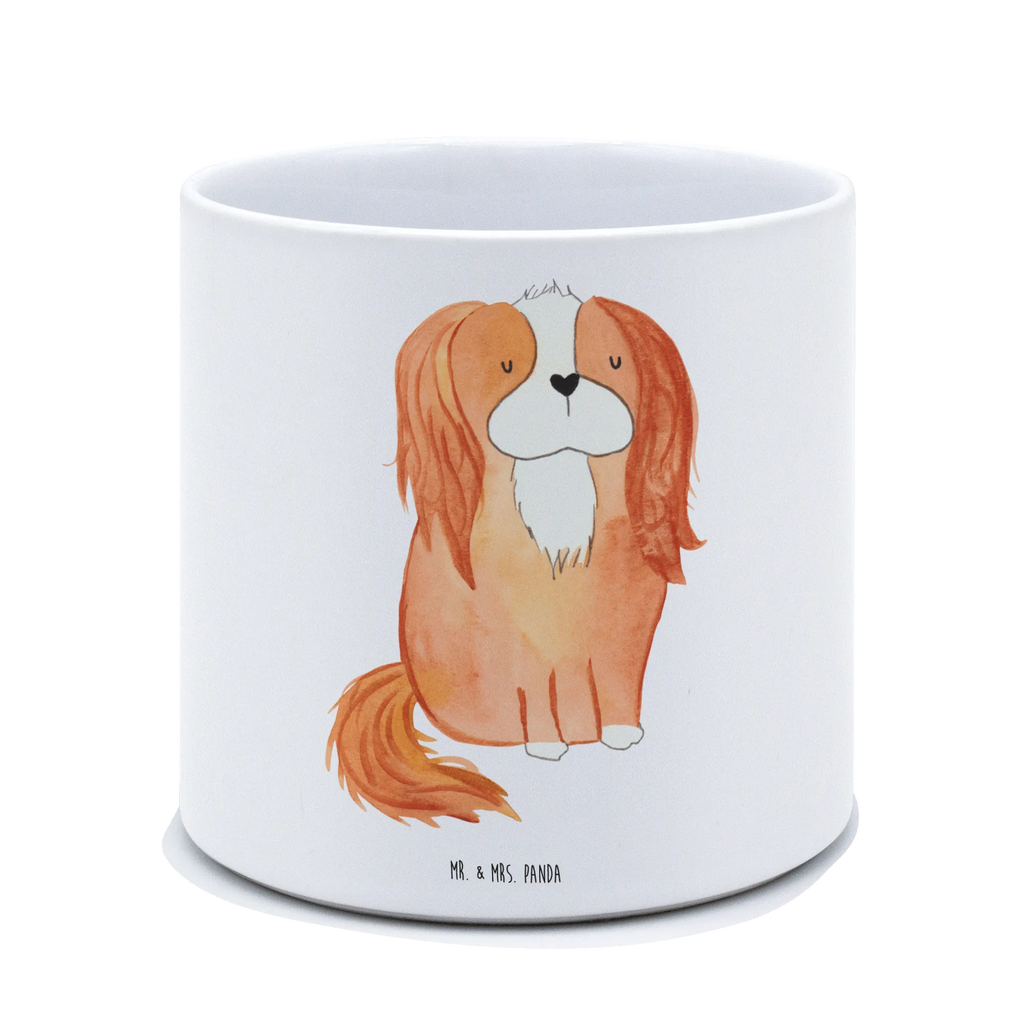 XL Blumentopf Hund Cavalier King Charles Spaniel Bumentopf, Xl Blumentopf, Blumentopf Gross, Übertopf, Pflanztopf, Keramiktopf, Kräutertopf, Topf, Pflanzkübel, Blumenübertopf, Hund, Hundemotiv, Haustier, Hunderasse, Tierliebhaber, Hundebesitzer, Sprüche, Cavalier King Charles Spaniel, Cockerspaniel, Spaniel, Spruch, schönster Hund