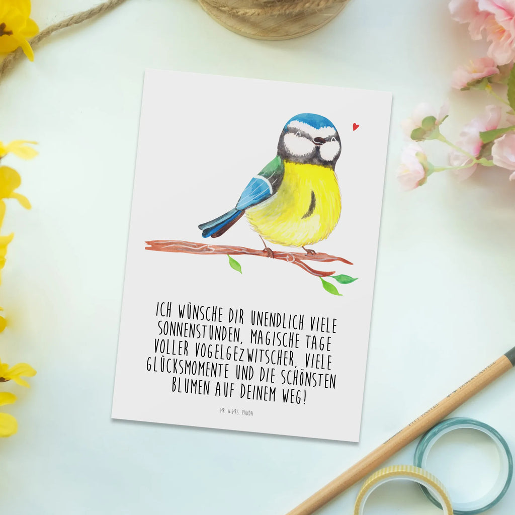 Postkarte Vogel Blaumeise Postkarte, Karte, Geschenkkarte, Grußkarte, Einladung, Ansichtskarte, Geburtstagskarte, Einladungskarte, Dankeskarte, Ansichtskarten, Einladung Geburtstag, Einladungskarten Geburtstag, Ostern, Osterhase, Ostergeschenke, Osternest, Osterdeko, Geschenke zu Ostern, Ostern Geschenk, Ostergeschenke Kinder, Ostern Kinder, Ostergrüße, Blaumeise, Vogel, liebe Grüße, Frühling, Frühlingsgefühle, Osterzeit