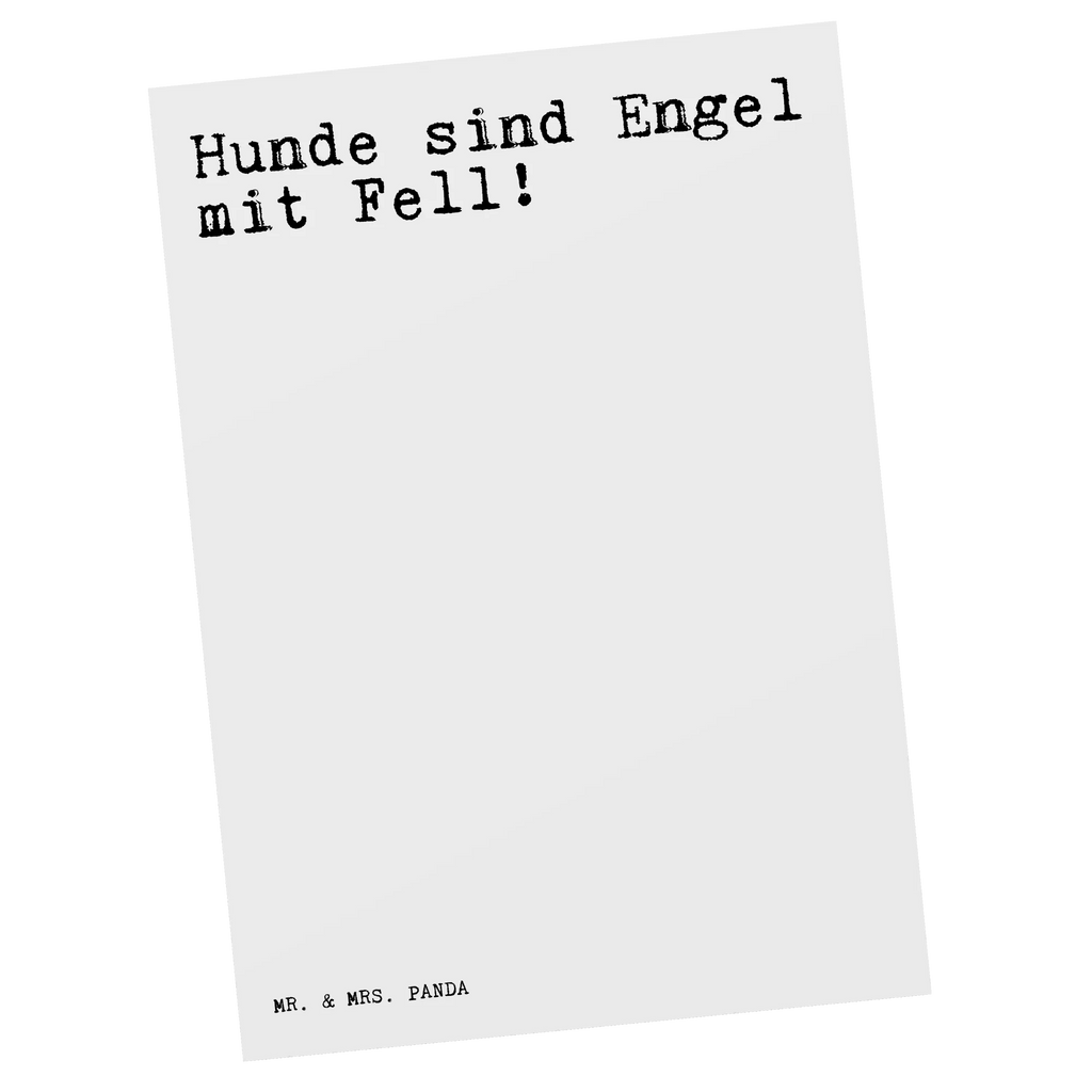 Postkarte Sprüche und Zitate Hunde sind Engel mit Fell! Postkarte, Karte, Geschenkkarte, Grußkarte, Einladung, Ansichtskarte, Geburtstagskarte, Einladungskarte, Dankeskarte, Ansichtskarten, Einladung Geburtstag, Einladungskarten Geburtstag, Spruch, Sprüche, lustige Sprüche, Weisheiten, Zitate, Spruch Geschenke, Spruch Sprüche Weisheiten Zitate Lustig Weisheit Worte