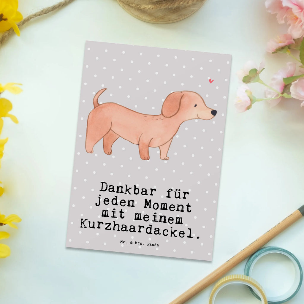 Postkarte Dackel Kurzhaardackel Moment Postkarte, Karte, Geschenkkarte, Grußkarte, Einladung, Ansichtskarte, Geburtstagskarte, Einladungskarte, Dankeskarte, Ansichtskarten, Einladung Geburtstag, Einladungskarten Geburtstag, Hund, Hunderasse, Rassehund, Hundebesitzer, Geschenk, Tierfreund, Schenken, Welpe, Teckel, Dachshund, Kurzhaardackel