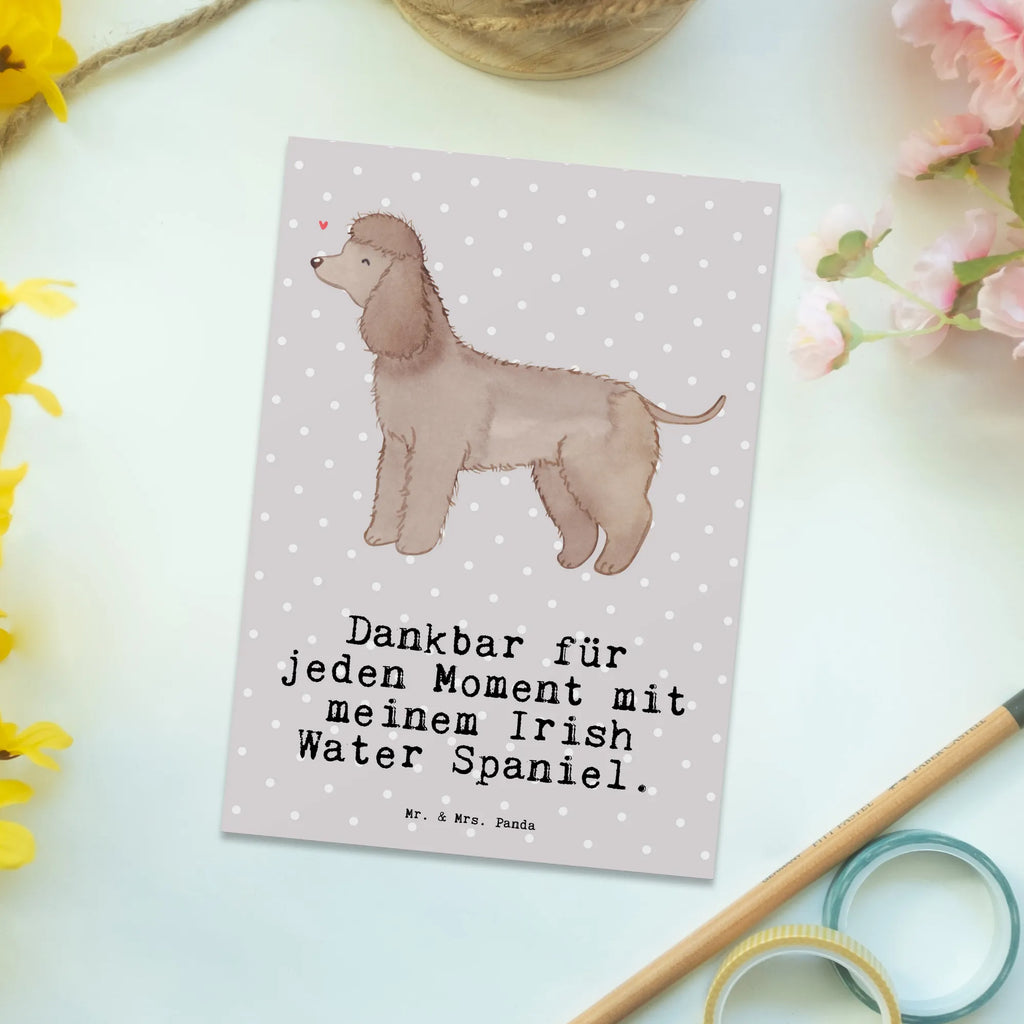 Postkarte Irish Water Spaniel Moment Postkarte, Karte, Geschenkkarte, Grußkarte, Einladung, Ansichtskarte, Geburtstagskarte, Einladungskarte, Dankeskarte, Ansichtskarten, Einladung Geburtstag, Einladungskarten Geburtstag, Hund, Hunderasse, Rassehund, Hundebesitzer, Geschenk, Tierfreund, Schenken, Welpe, Irish Water Spaniel, Jagdhund