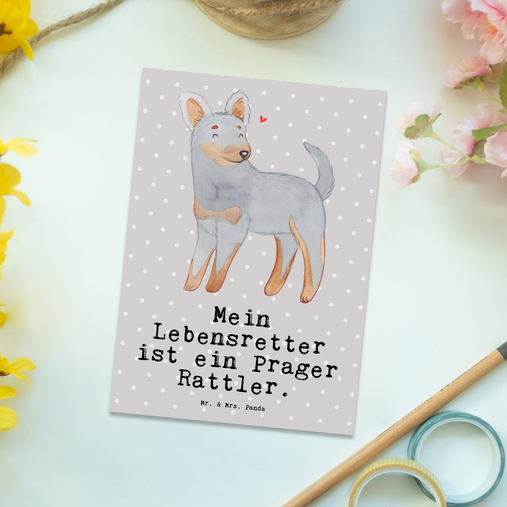 Postkarte Prager Rattler Lebensretter Postkarte, Karte, Geschenkkarte, Grußkarte, Einladung, Ansichtskarte, Geburtstagskarte, Einladungskarte, Dankeskarte, Ansichtskarten, Einladung Geburtstag, Einladungskarten Geburtstag, Hund, Hunderasse, Rassehund, Hundebesitzer, Geschenk, Tierfreund, Schenken, Welpe, Pincher, Prager Rattler