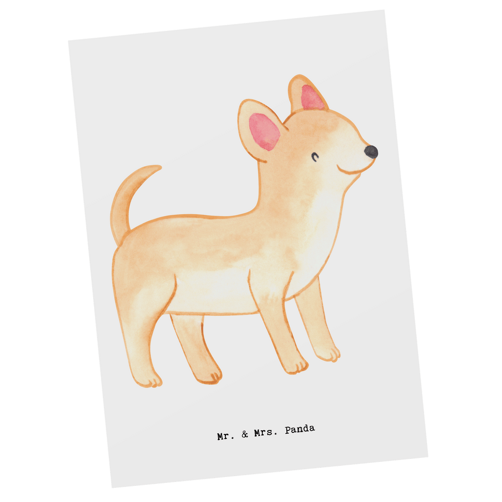 Postkarte Chihuahua Lebensretter Postkarte, Karte, Geschenkkarte, Grußkarte, Einladung, Ansichtskarte, Geburtstagskarte, Einladungskarte, Dankeskarte, Ansichtskarten, Einladung Geburtstag, Einladungskarten Geburtstag, Hund, Hunderasse, Rassehund, Hundebesitzer, Geschenk, Tierfreund, Schenken, Welpe, Chihuahua