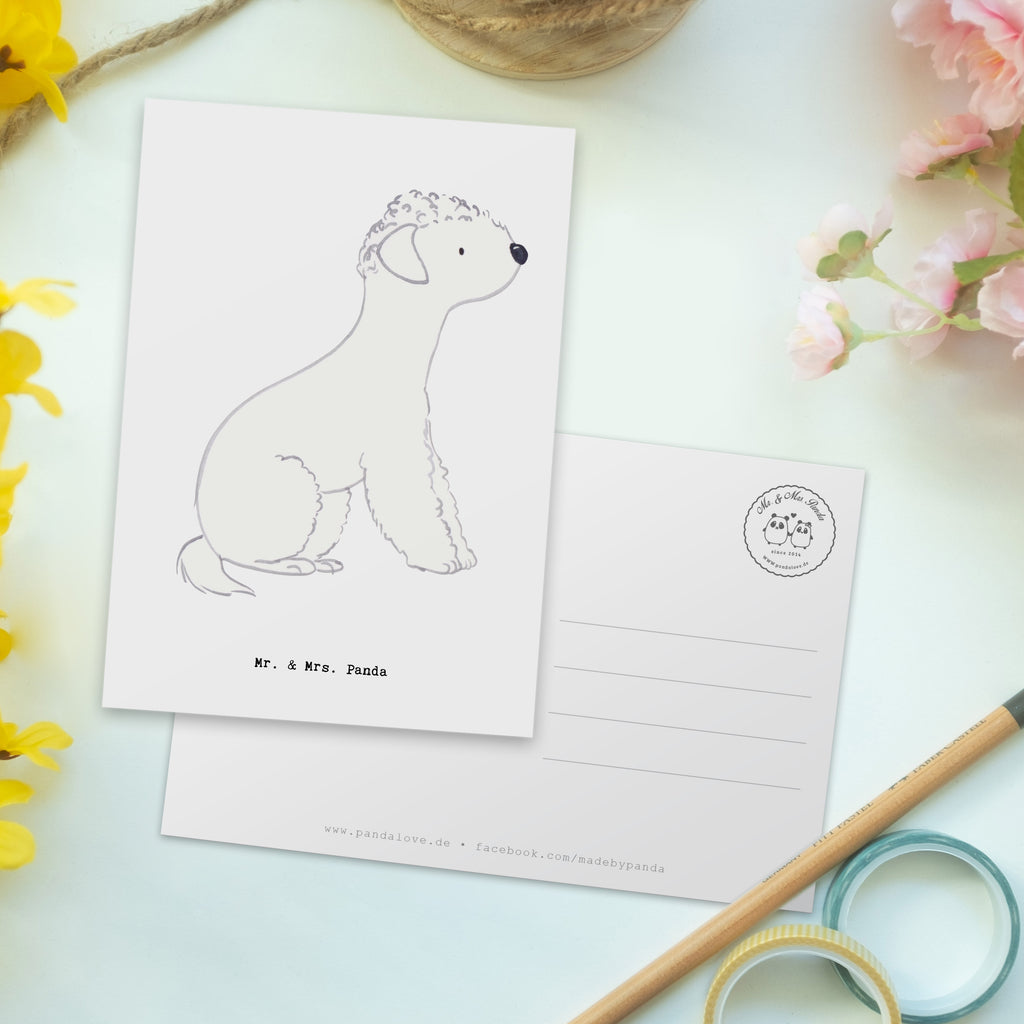 Postkarte Bedlington Terrier Lebensretter Postkarte, Karte, Geschenkkarte, Grußkarte, Einladung, Ansichtskarte, Geburtstagskarte, Einladungskarte, Dankeskarte, Ansichtskarten, Einladung Geburtstag, Einladungskarten Geburtstag, Hund, Hunderasse, Rassehund, Hundebesitzer, Geschenk, Tierfreund, Schenken, Welpe, Bedlington Terrier, Terrier