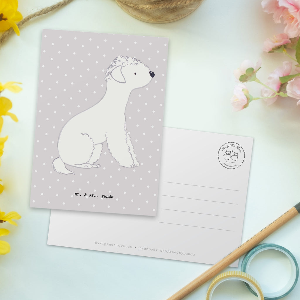 Postkarte Bedlington Terrier Lebensretter Postkarte, Karte, Geschenkkarte, Grußkarte, Einladung, Ansichtskarte, Geburtstagskarte, Einladungskarte, Dankeskarte, Ansichtskarten, Einladung Geburtstag, Einladungskarten Geburtstag, Hund, Hunderasse, Rassehund, Hundebesitzer, Geschenk, Tierfreund, Schenken, Welpe, Bedlington Terrier, Terrier