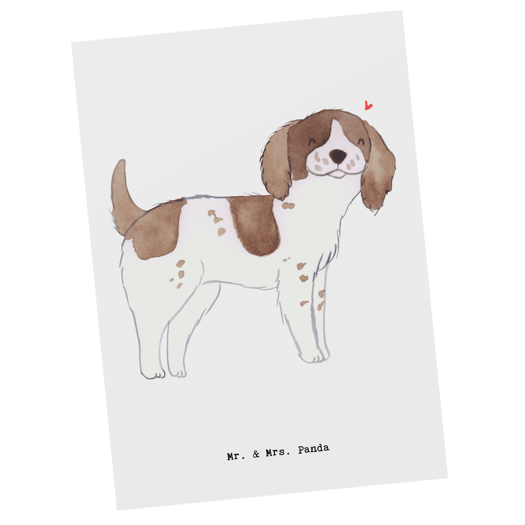 Postkarte English Springer Spaniel Lebensretter Postkarte, Karte, Geschenkkarte, Grußkarte, Einladung, Ansichtskarte, Geburtstagskarte, Einladungskarte, Dankeskarte, Ansichtskarten, Einladung Geburtstag, Einladungskarten Geburtstag, Hund, Hunderasse, Rassehund, Hundebesitzer, Geschenk, Tierfreund, Schenken, Welpe, English Springer Spaniel