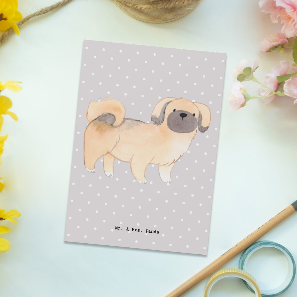 Postkarte Pekingese Lebensretter Postkarte, Karte, Geschenkkarte, Grußkarte, Einladung, Ansichtskarte, Geburtstagskarte, Einladungskarte, Dankeskarte, Ansichtskarten, Einladung Geburtstag, Einladungskarten Geburtstag, Hund, Hunderasse, Rassehund, Hundebesitzer, Geschenk, Tierfreund, Schenken, Welpe, Pekingese, Pekinese, Peking-Palasthund