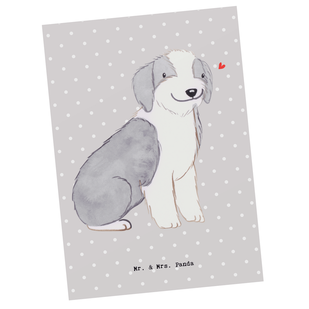 Postkarte Bearded Collie Lebensretter Postkarte, Karte, Geschenkkarte, Grußkarte, Einladung, Ansichtskarte, Geburtstagskarte, Einladungskarte, Dankeskarte, Ansichtskarten, Einladung Geburtstag, Einladungskarten Geburtstag, Hund, Hunderasse, Rassehund, Hundebesitzer, Geschenk, Tierfreund, Schenken, Welpe, Bearded Collie, britischer Hütehund