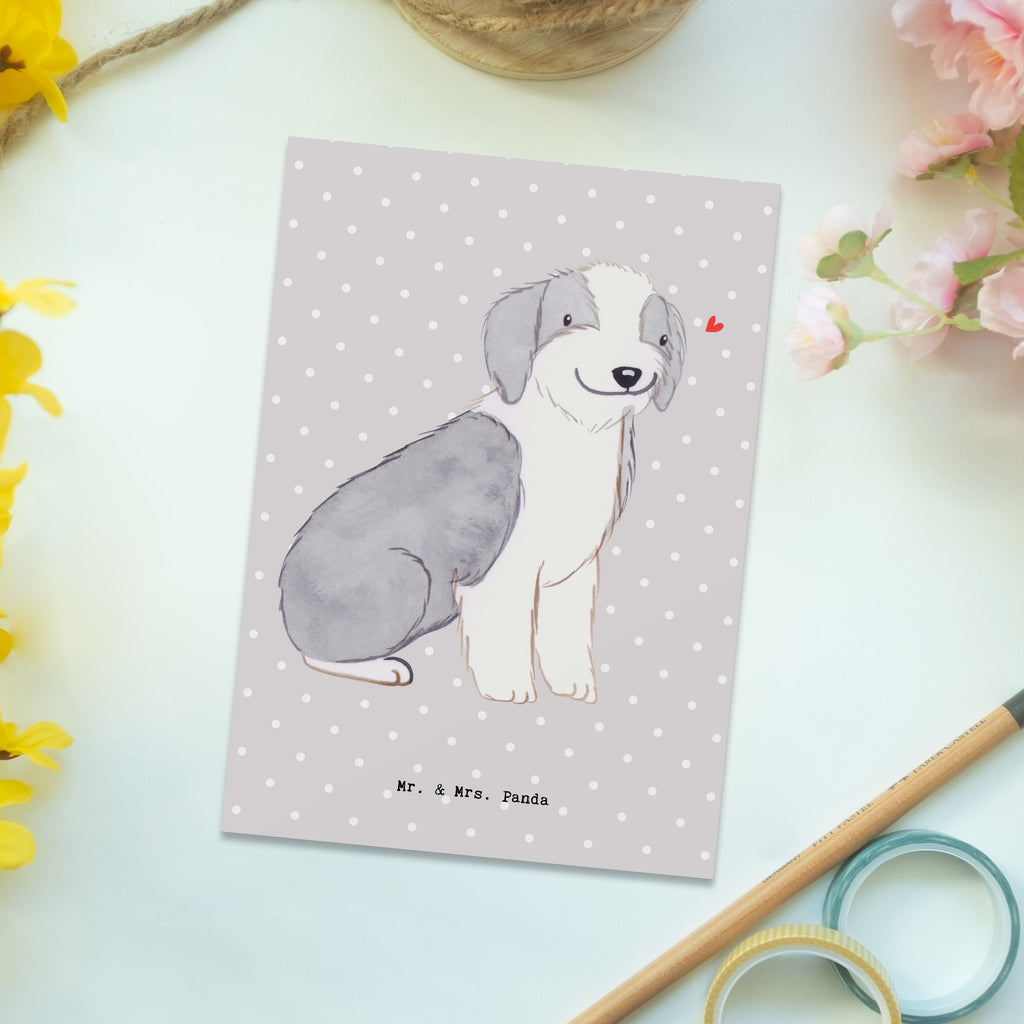 Postkarte Bearded Collie Lebensretter Postkarte, Karte, Geschenkkarte, Grußkarte, Einladung, Ansichtskarte, Geburtstagskarte, Einladungskarte, Dankeskarte, Ansichtskarten, Einladung Geburtstag, Einladungskarten Geburtstag, Hund, Hunderasse, Rassehund, Hundebesitzer, Geschenk, Tierfreund, Schenken, Welpe, Bearded Collie, britischer Hütehund