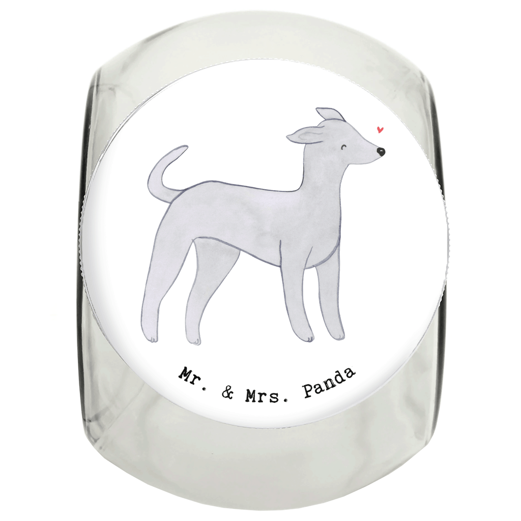 Leckerli Glas Italienisches Windspiel Moment Leckerli Glas, Leckerli Glas Hund, Leckerli Glas Katze, Leckerli Dose, Hundeleckerlies Behälter, Hund, Hunderasse, Rassehund, Hundebesitzer, Geschenk, Tierfreund, Schenken, Welpe, Italienisches Windspiel, Windhund, Italian Greyhound