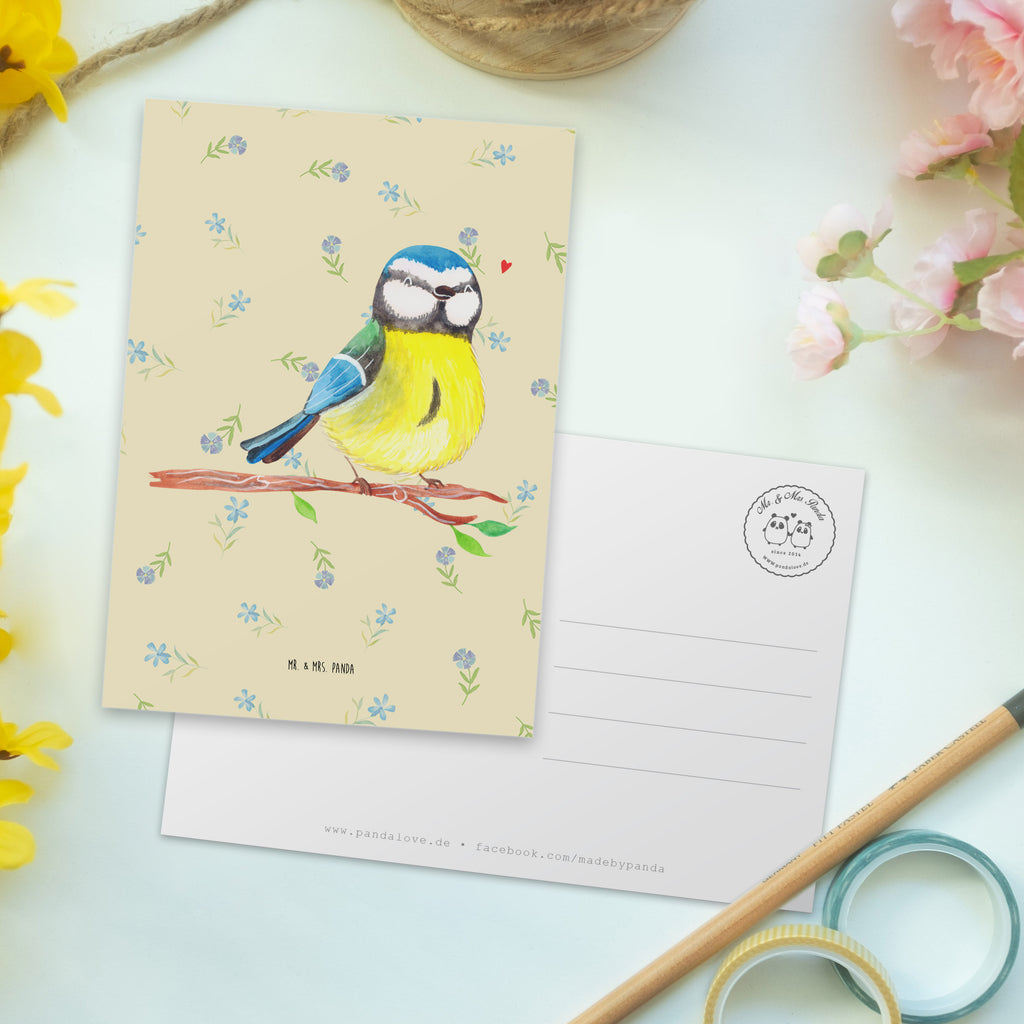 Postkarte Vogel Blaumeise Postkarte, Karte, Geschenkkarte, Grußkarte, Einladung, Ansichtskarte, Geburtstagskarte, Einladungskarte, Dankeskarte, Ansichtskarten, Einladung Geburtstag, Einladungskarten Geburtstag, Ostern, Osterhase, Ostergeschenke, Osternest, Osterdeko, Geschenke zu Ostern, Ostern Geschenk, Ostergeschenke Kinder, Ostern Kinder, Ostergrüße, Blaumeise, Vogel, liebe Grüße, Frühling, Frühlingsgefühle, Osterzeit