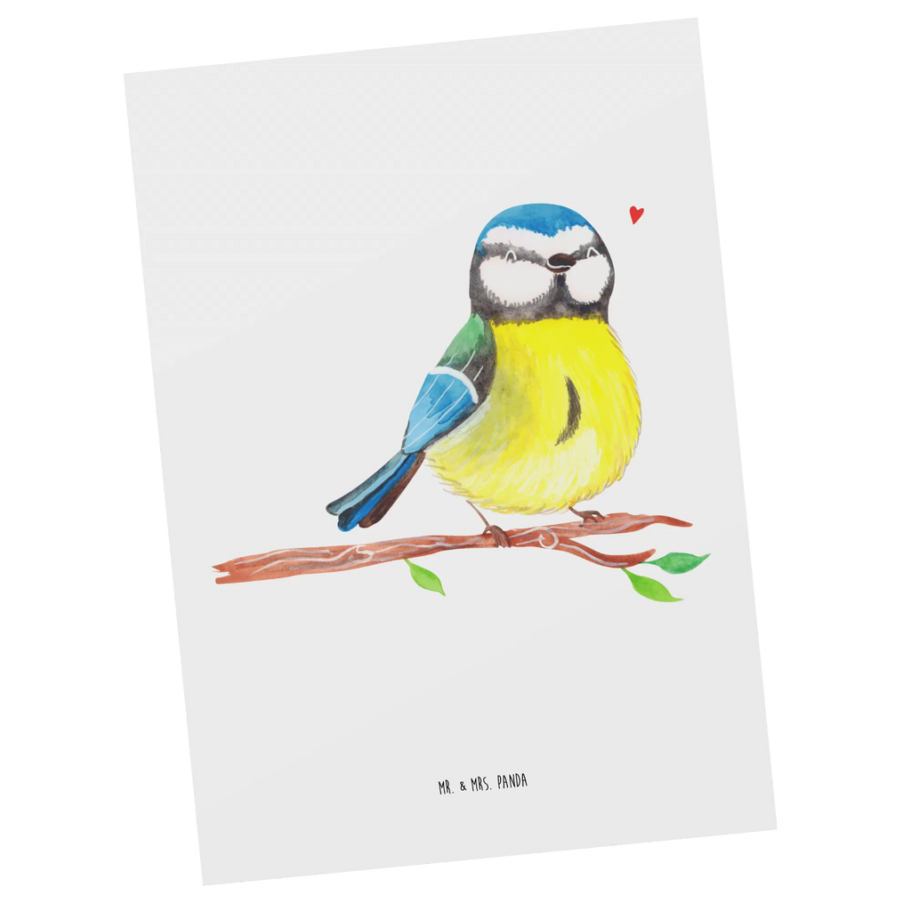 Postkarte Vogel Blaumeise Postkarte, Karte, Geschenkkarte, Grußkarte, Einladung, Ansichtskarte, Geburtstagskarte, Einladungskarte, Dankeskarte, Ansichtskarten, Einladung Geburtstag, Einladungskarten Geburtstag, Ostern, Osterhase, Ostergeschenke, Osternest, Osterdeko, Geschenke zu Ostern, Ostern Geschenk, Ostergeschenke Kinder, Ostern Kinder, Ostergrüße, Blaumeise, Vogel, liebe Grüße, Frühling, Frühlingsgefühle, Osterzeit