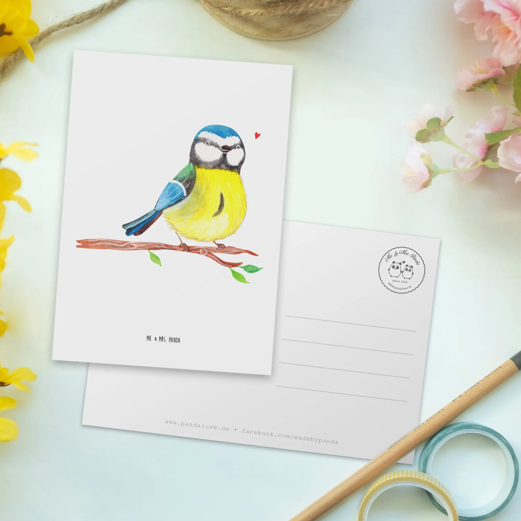 Postkarte Vogel Blaumeise Postkarte, Karte, Geschenkkarte, Grußkarte, Einladung, Ansichtskarte, Geburtstagskarte, Einladungskarte, Dankeskarte, Ansichtskarten, Einladung Geburtstag, Einladungskarten Geburtstag, Ostern, Osterhase, Ostergeschenke, Osternest, Osterdeko, Geschenke zu Ostern, Ostern Geschenk, Ostergeschenke Kinder, Ostern Kinder, Ostergrüße, Blaumeise, Vogel, liebe Grüße, Frühling, Frühlingsgefühle, Osterzeit