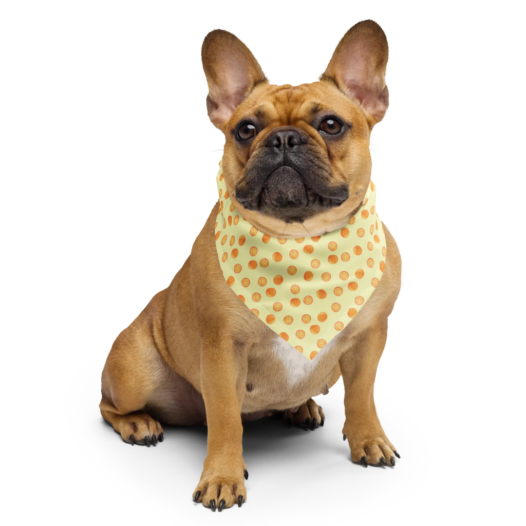 Bandana Zitrus Orange Muster Bandana, Kopftuch, Halstuch, Multifunktionstuch, Design Bandana, Bandana Tuch, Sportbandana, Sport Bandana, Bandana kaufen, Orangen Muster, Obst Muster, Orangen, Orange, Zitrusfrüchte