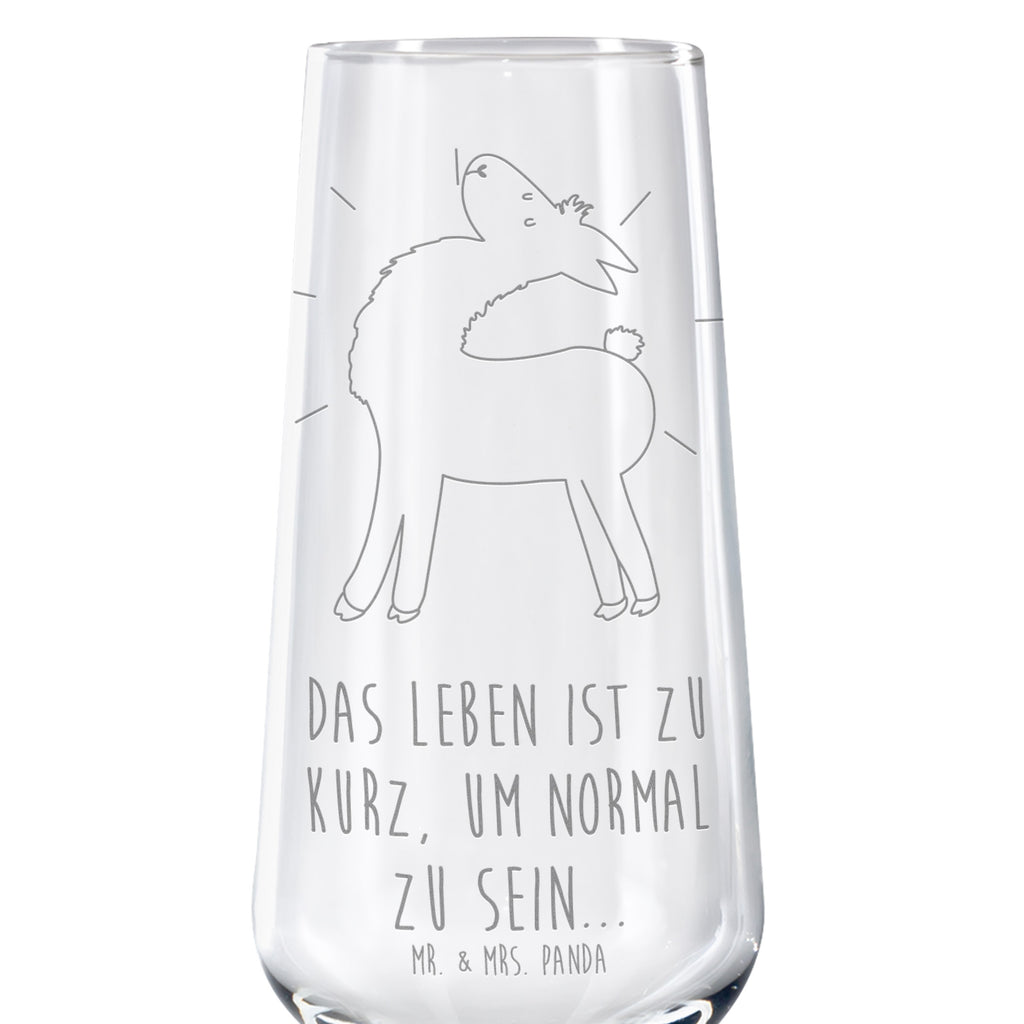 Sektglas Lama stolz Sektglas, Sektglas mit Gravur, Spülmaschinenfeste Sektgläser, Lama, Alpaka, Lamas, Außenseiter, Anders, Neustart, stolz, Hippie, Freundin, Freundinnen, beste Freundin, Kumpel, Familie, Family