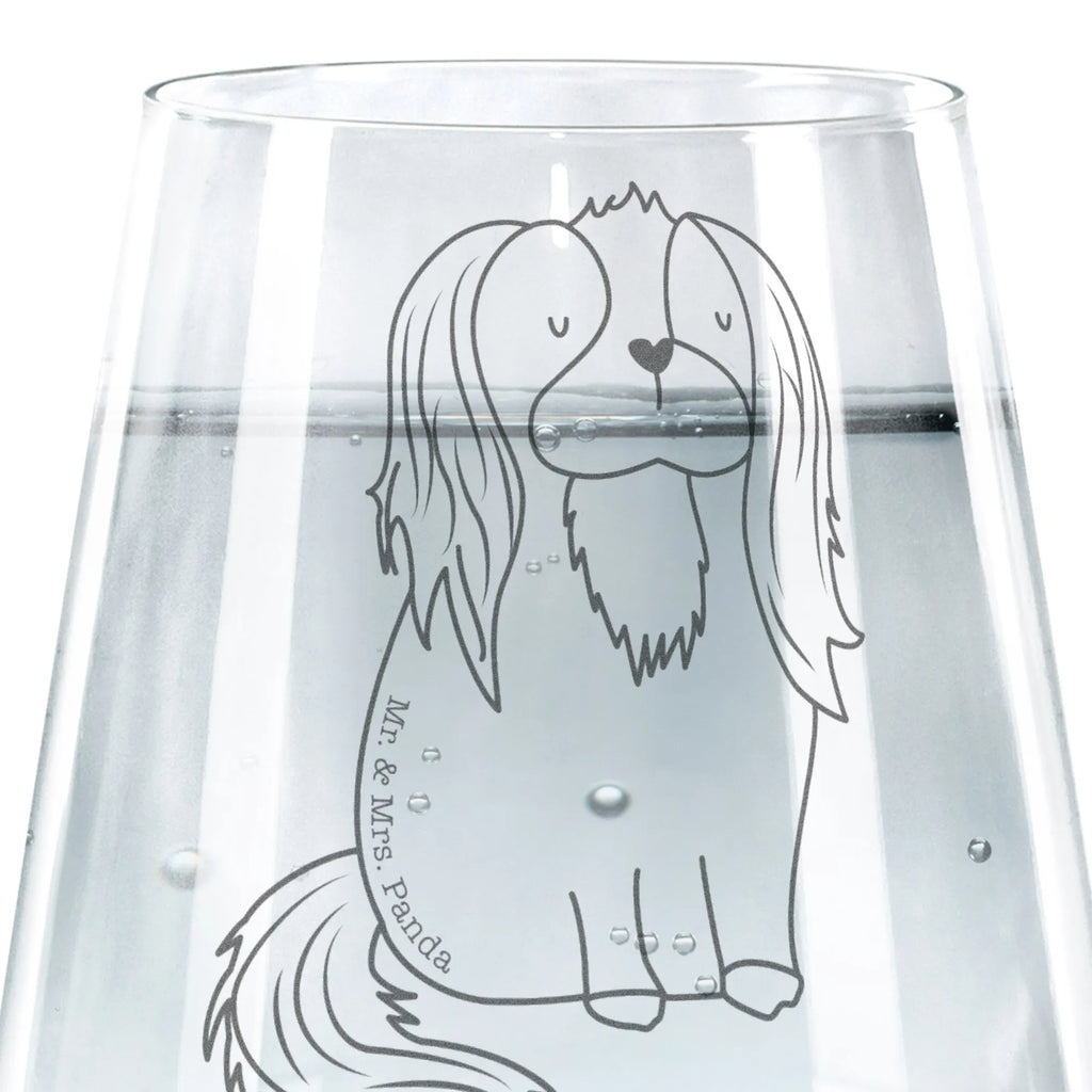 Trinkglas Hund Cavalier King Charles Spaniel Trinkglas, Trinkglas mit Gravur, Wasserglas, Spülmaschinenfeste Trinkglser, Glas, Gläser, Trinkgläser, Wassergläser, Design Glas, Schöne Trinkgläser, Moderne Trinkgläser, Trinkgläser bunt, Saftgläser, Hund, Hundemotiv, Haustier, Hunderasse, Tierliebhaber, Hundebesitzer, Sprüche, Cavalier King Charles Spaniel, Cockerspaniel, Spaniel, Spruch, schönster Hund