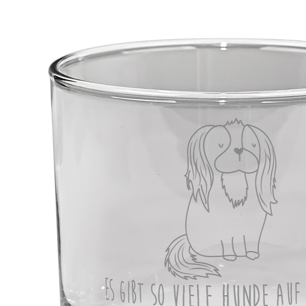 Whiskey Glas Cavalier King Charles Spaniel Whiskeylgas, Whiskey Glas, Whiskey Glas mit Gravur, Whiskeyglas mit Spruch, Whiskey Glas mit Sprüchen, Whiskygläser, Whisky Gläser, Whiskey Tumbler, Whiskyglas mit Gravur, Gravur Whiskyglas, Edle Whiskygläser, Hund, Hundemotiv, Haustier, Hunderasse, Tierliebhaber, Hundebesitzer, Sprüche, Cavalier King Charles Spaniel, Cockerspaniel, Spaniel, Spruch, schönster Hund