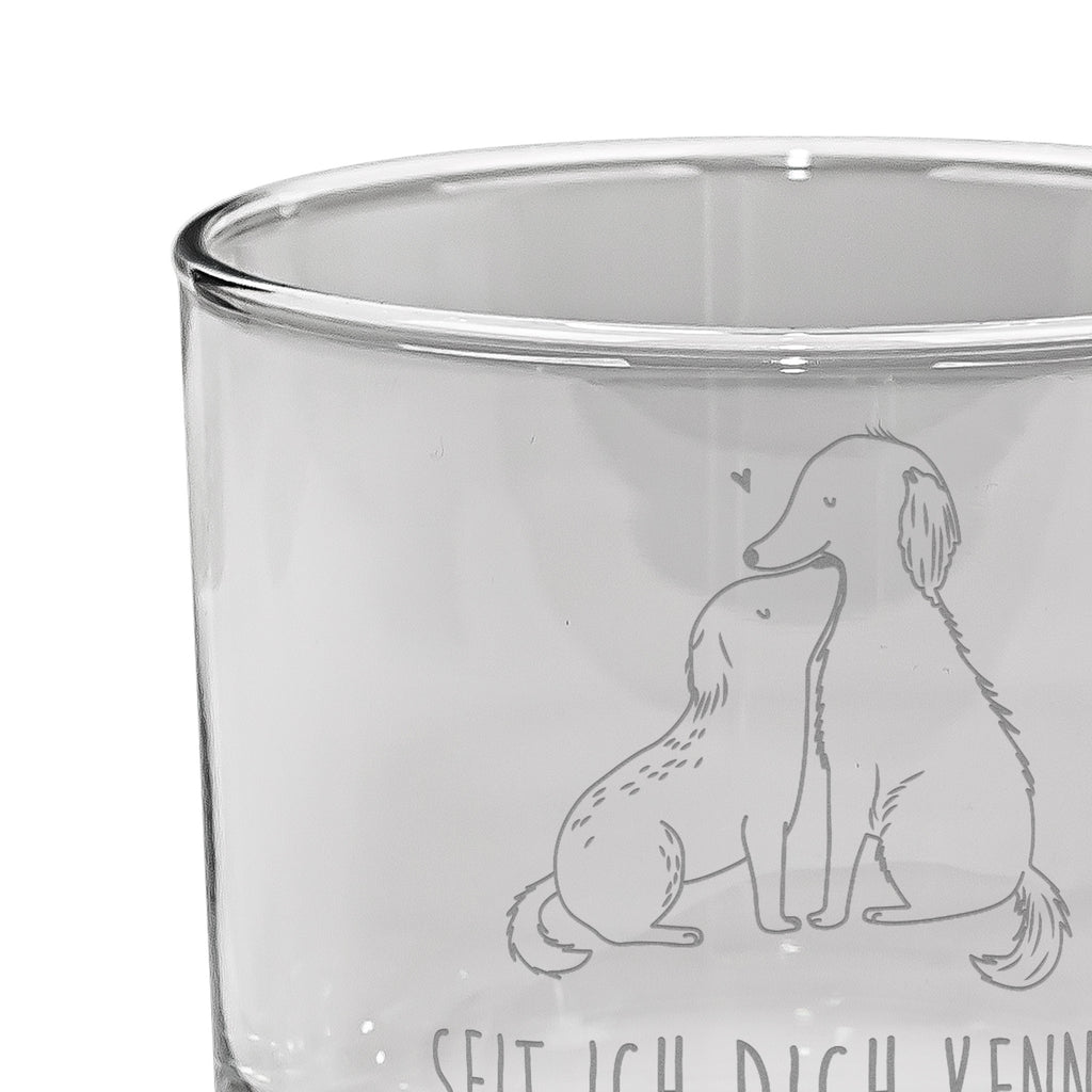 Whiskey Glas Hunde Liebe Whiskeylgas, Whiskey Glas, Whiskey Glas mit Gravur, Whiskeyglas mit Spruch, Whiskey Glas mit Sprüchen, Whiskygläser, Whisky Gläser, Whiskey Tumbler, Whiskyglas mit Gravur, Gravur Whiskyglas, Edle Whiskygläser, Hund, Hundemotiv, Haustier, Hunderasse, Tierliebhaber, Hundebesitzer, Sprüche, Liebe, Hund. Hunde, Kuss, Vertrauen, Kuscheln, Herz