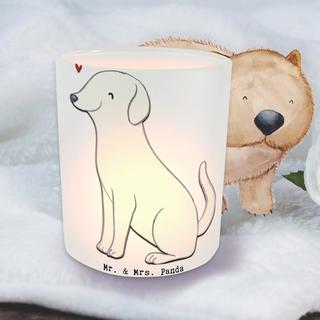 Windlicht Labrador Lebensretter Windlicht Glas, Teelichtglas, Teelichthalter, Teelichter, Kerzenglas, Windlicht Kerze, Kerzenlicht, Glas Windlicht, Windlicht Zur Hochzeit, Windlicht Deko, Windlicht Hochzeit, Teelichtgläser, Windlicht Dekorieren, Hund, Hunderasse, Rassehund, Hundebesitzer, Geschenk, Tierfreund, Schenken, Welpe, Labrador