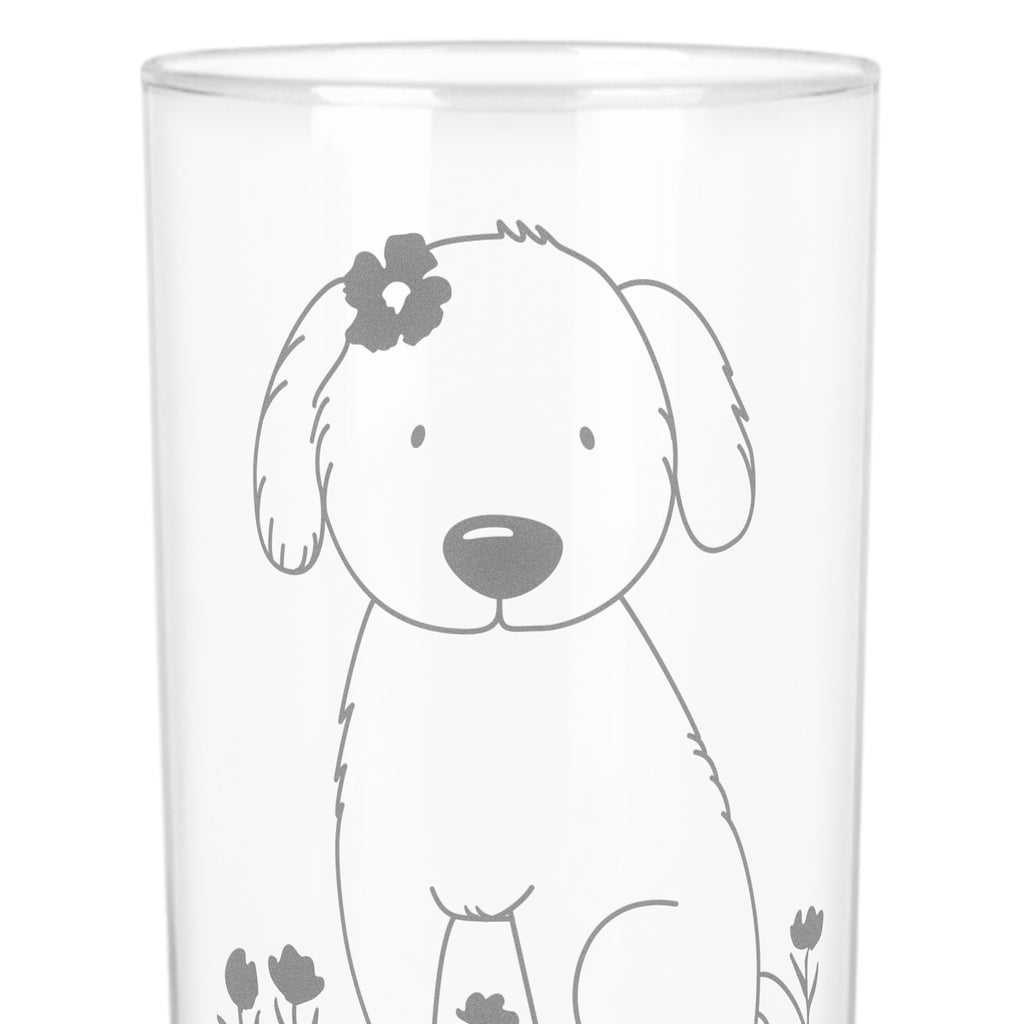 Wasserglas Hund Hundedame Wasserglas, Glas, Trinkglas, Wasserglas mit Gravur, Glas mit Gravur, Trinkglas mit Gravur, Hund, Hundemotiv, Haustier, Hunderasse, Tierliebhaber, Hundebesitzer, Sprüche, Hunde, Hundeliebe, Hundeglück, Liebe, Frauchen