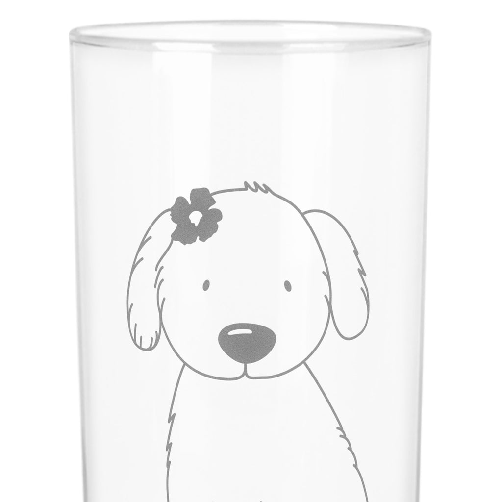 Wasserglas Hund Hundedame Wasserglas, Glas, Trinkglas, Wasserglas mit Gravur, Glas mit Gravur, Trinkglas mit Gravur, Hund, Hundemotiv, Haustier, Hunderasse, Tierliebhaber, Hundebesitzer, Sprüche, Hunde, Hundeliebe, Hundeglück, Liebe, Frauchen