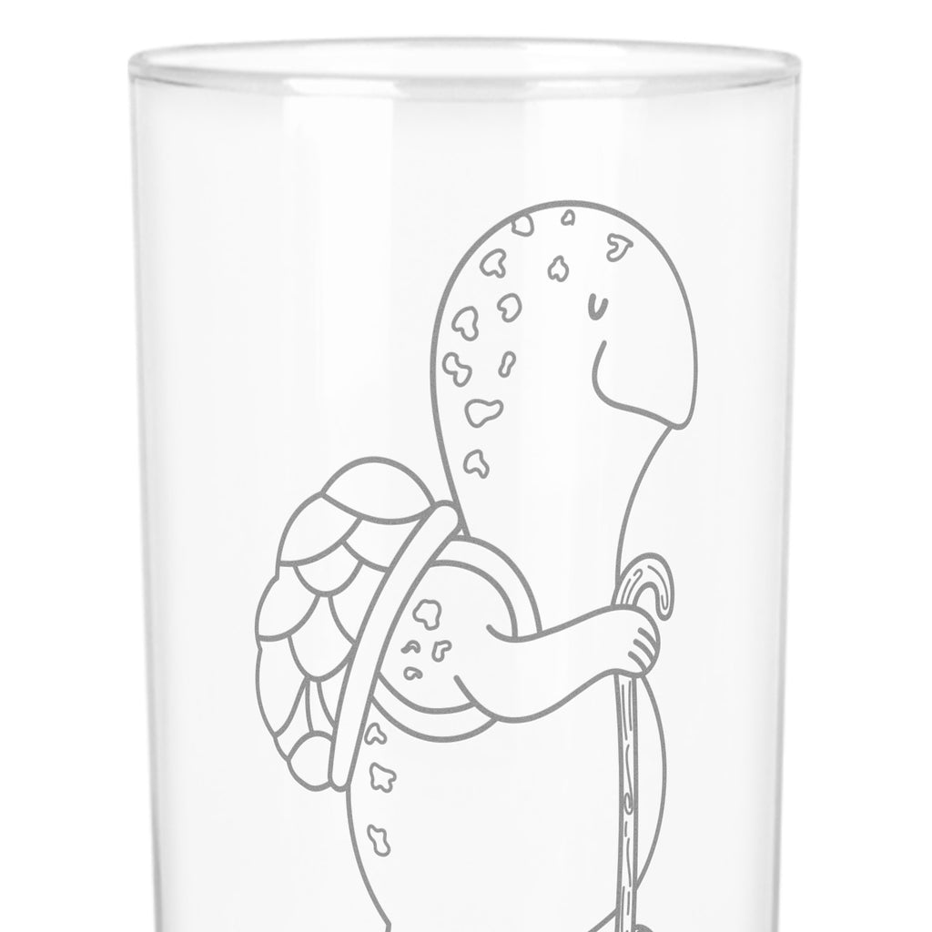 Wasserglas Schildkröte Wanderer Wasserglas, Glas, Trinkglas, Wasserglas mit Gravur, Glas mit Gravur, Trinkglas mit Gravur, Schildkröte, Schildkröten, Motivation, Motivationsspruch, Motivationssprüche, Neuanfang