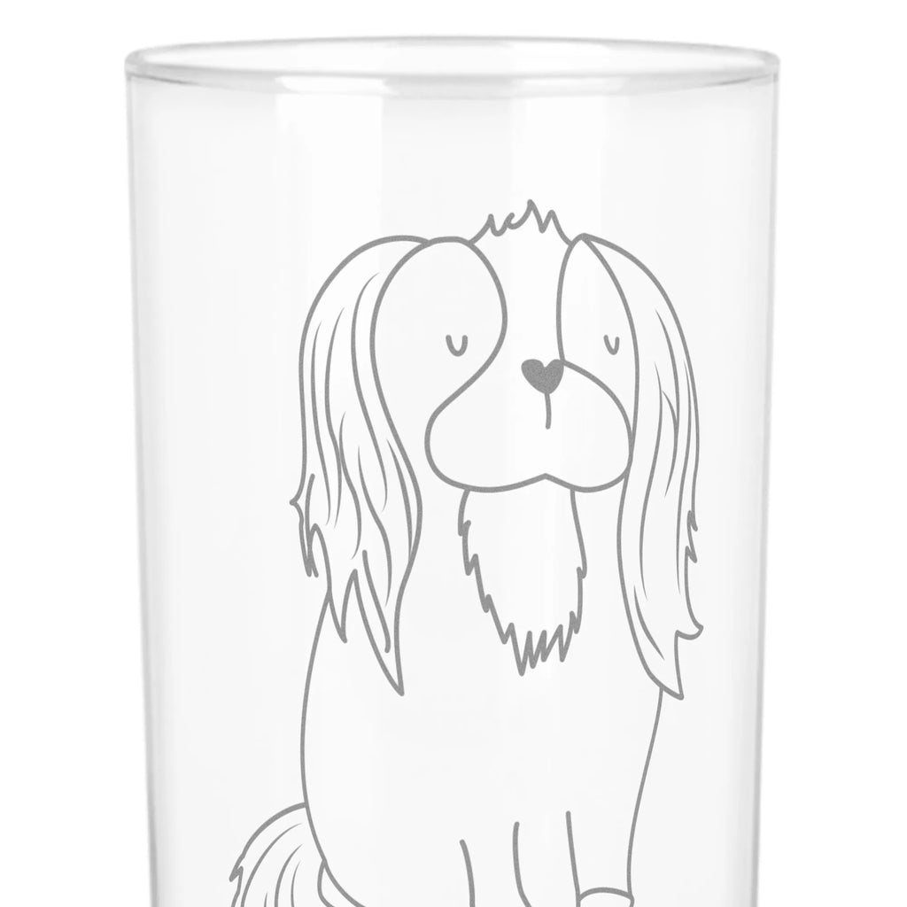 Wasserglas Cavalier King Charles Spaniel Wasserglas, Glas, Trinkglas, Wasserglas mit Gravur, Glas mit Gravur, Trinkglas mit Gravur, Hund, Hundemotiv, Haustier, Hunderasse, Tierliebhaber, Hundebesitzer, Sprüche, Cavalier King Charles Spaniel, Cockerspaniel, Spaniel, Spruch, schönster Hund