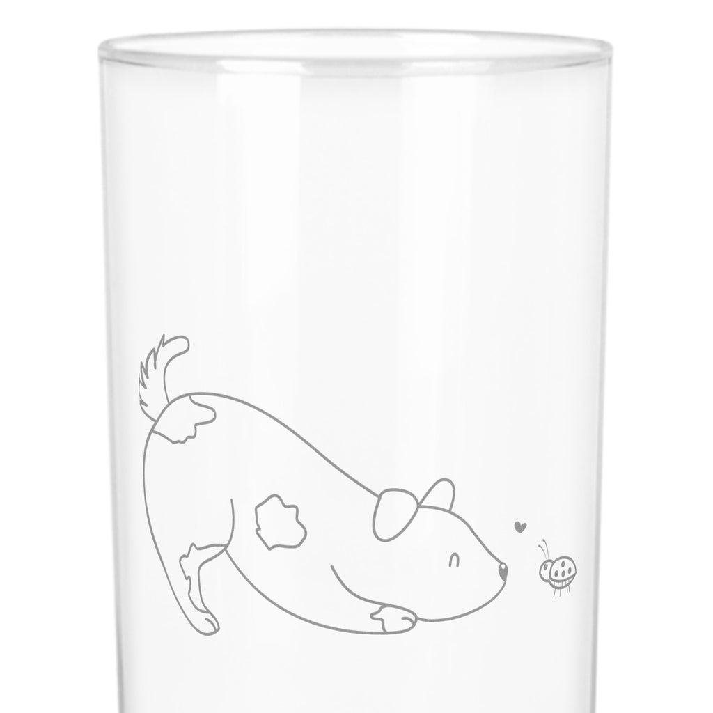 Wasserglas Hund Marienkäfer Wasserglas, Glas, Trinkglas, Wasserglas mit Gravur, Glas mit Gravur, Trinkglas mit Gravur, Hund, Hundemotiv, Haustier, Hunderasse, Tierliebhaber, Hundebesitzer, Sprüche, Hunde, Hundespruch, Marienkäfer, Mischling, Mischlinghund