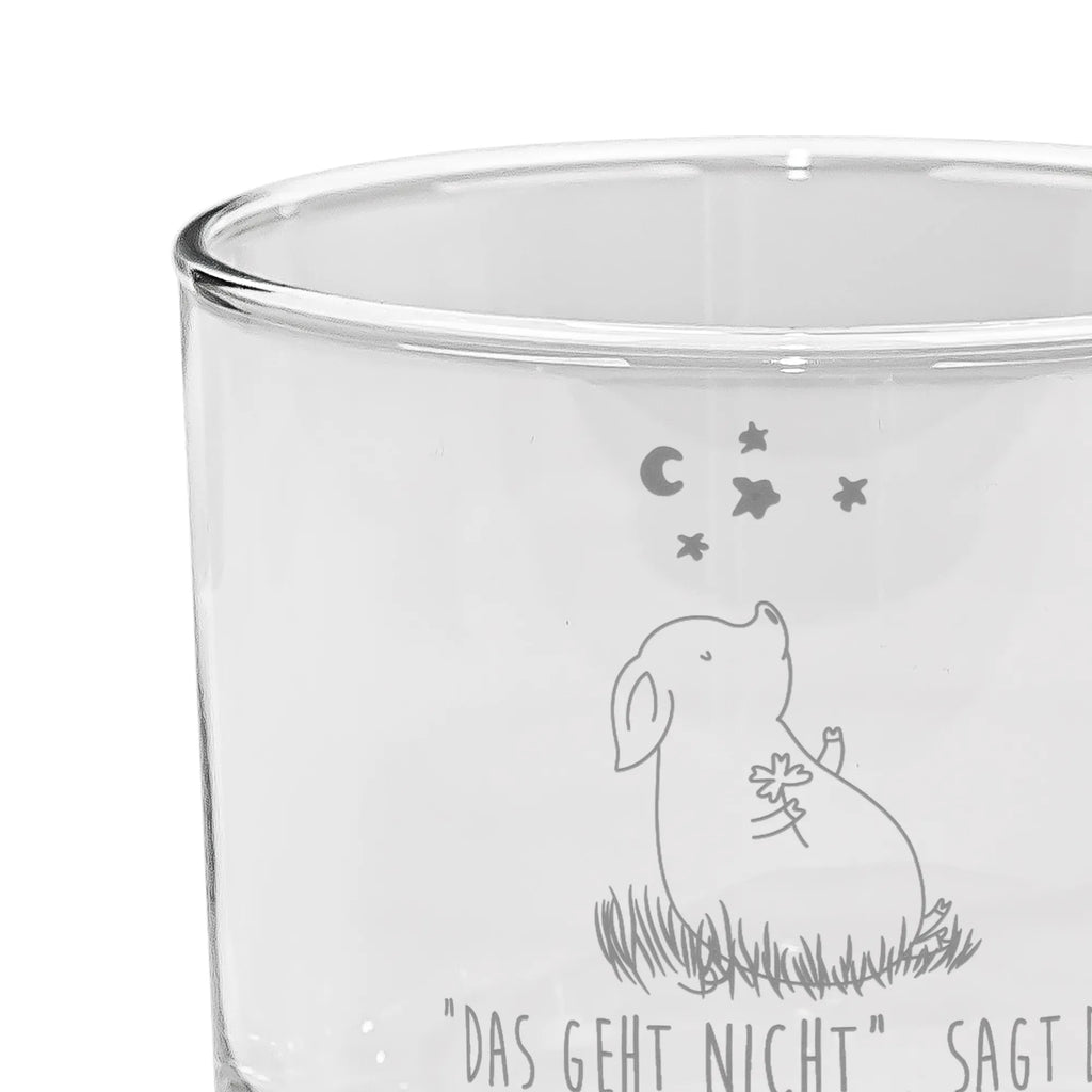 Ginglas Glücksschwein Ginglas, Gin Glas, Gin Glas mit Gravur, Ginglas mit Spruch, Gin Glas mit Sprüchen, Tiermotive, Gute Laune, lustige Sprüche, Tiere, Glücksschwein. Glück, Schwein, Schweinchen, Sterne, Sernchen, Ziele, Träume, Motivation, Glücksbringer