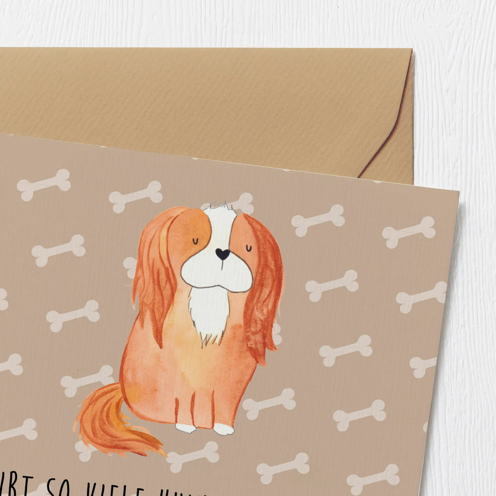 Deluxe Karte Hund Cavalier King Charles Spaniel Karte, Grußkarte, Klappkarte, Einladungskarte, Glückwunschkarte, Hochzeitskarte, Geburtstagskarte, Hochwertige Grußkarte, Hochwertige Klappkarte, Hund, Hundemotiv, Haustier, Hunderasse, Tierliebhaber, Hundebesitzer, Sprüche, Cavalier King Charles Spaniel, Cockerspaniel, Spaniel, Spruch, schönster Hund