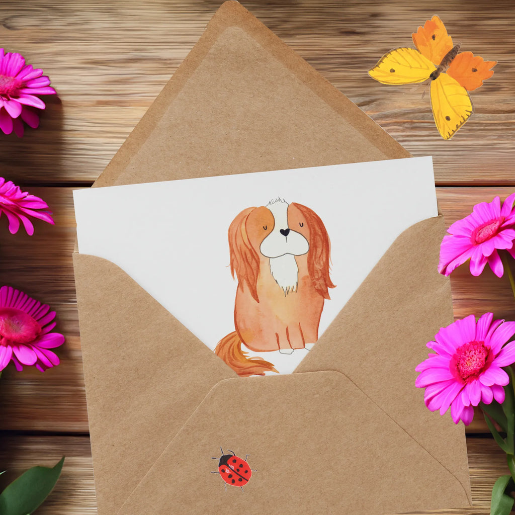 Deluxe Karte Hund Cavalier King Charles Spaniel Karte, Grußkarte, Klappkarte, Einladungskarte, Glückwunschkarte, Hochzeitskarte, Geburtstagskarte, Hochwertige Grußkarte, Hochwertige Klappkarte, Hund, Hundemotiv, Haustier, Hunderasse, Tierliebhaber, Hundebesitzer, Sprüche, Cavalier King Charles Spaniel, Cockerspaniel, Spaniel, Spruch, schönster Hund