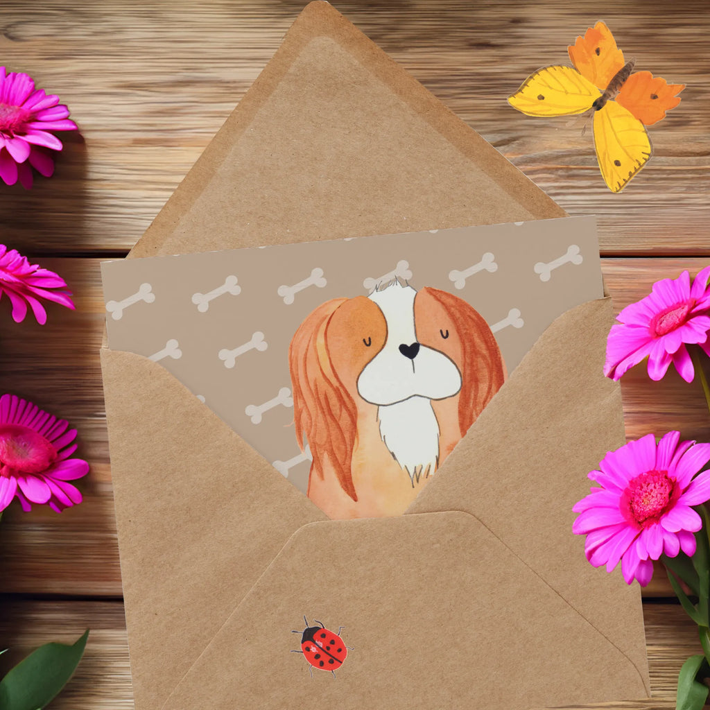 Deluxe Karte Hund Cavalier King Charles Spaniel Karte, Grußkarte, Klappkarte, Einladungskarte, Glückwunschkarte, Hochzeitskarte, Geburtstagskarte, Hochwertige Grußkarte, Hochwertige Klappkarte, Hund, Hundemotiv, Haustier, Hunderasse, Tierliebhaber, Hundebesitzer, Sprüche, Cavalier King Charles Spaniel, Cockerspaniel, Spaniel, Spruch, schönster Hund