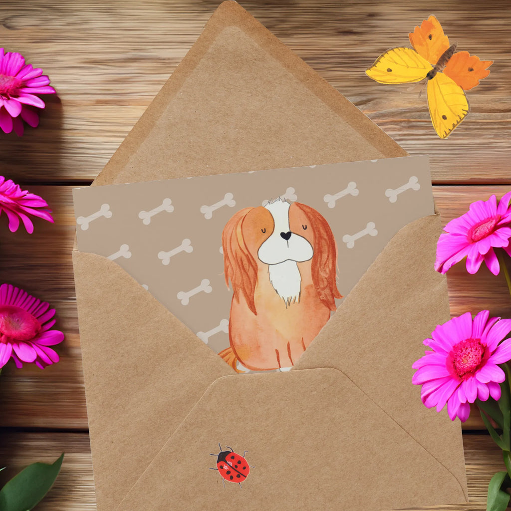 Personalisierte Deluxe Karte Hund Cavalier King Charles Spaniel Personalisierte Grußkarte, Personalisiertere Klappkarte, Personalisierte Einladungskarte, Personalisierte Glückwunschkarte, Personalisierte Hochzeitskarte, Personalisierte Geburtstagskarte, Grußkarte mit Namen, Grußkarte selber drucken, Grußkarte selbst gestalten, Grußkarte mit persönlichen Nachrichten, Grußkarte als Geldgeschenk, Grußkarten personalisiert, Personalisierte Karte, Hund, Hundemotiv, Haustier, Hunderasse, Tierliebhaber, Hundebesitzer, Sprüche, Cavalier King Charles Spaniel, Cockerspaniel, Spaniel, Spruch, schönster Hund