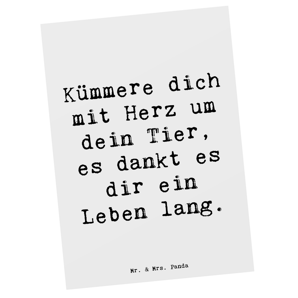 Postkarte Spruch Haustiere pflegen Postkarte, Karte, Geschenkkarte, Grußkarte, Einladung, Ansichtskarte, Geburtstagskarte, Einladungskarte, Dankeskarte, Ansichtskarten, Einladung Geburtstag, Einladungskarten Geburtstag