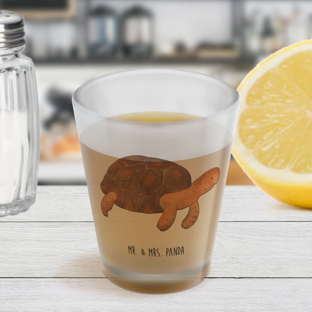 Schnapsglas Schildkröte Marschieren Schnapsglas, Shot Glas, Schnapsgläser, Likörgläser, Shotglas, Shotgläser, Likörglas, Stamperl, Likör Glas, Likör Gläser, Lustige Schnapsgläser, Kurze Gläser, Ausgefallene Schnapsgläser, Kurzen Glas, Meerestiere, Meer, Urlaub, Schildkröte, Schildkröten, get lost, Abenteuer, Reiselust, Inspiration, Neustart, Motivation, Lieblingsmensch