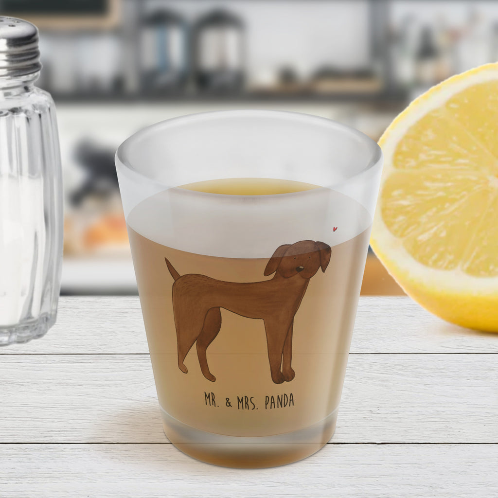 Schnapsglas Hund Dogge Schnapsglas, Shot Glas, Schnapsgläser, Likörgläser, Shotglas, Shotgläser, Likörglas, Stamperl, Likör Glas, Likör Gläser, Lustige Schnapsgläser, Kurze Gläser, Ausgefallene Schnapsgläser, Kurzen Glas, Hund, Hundemotiv, Haustier, Hunderasse, Tierliebhaber, Hundebesitzer, Sprüche, Hunde, Dogge, Deutsche Dogge, Great Dane