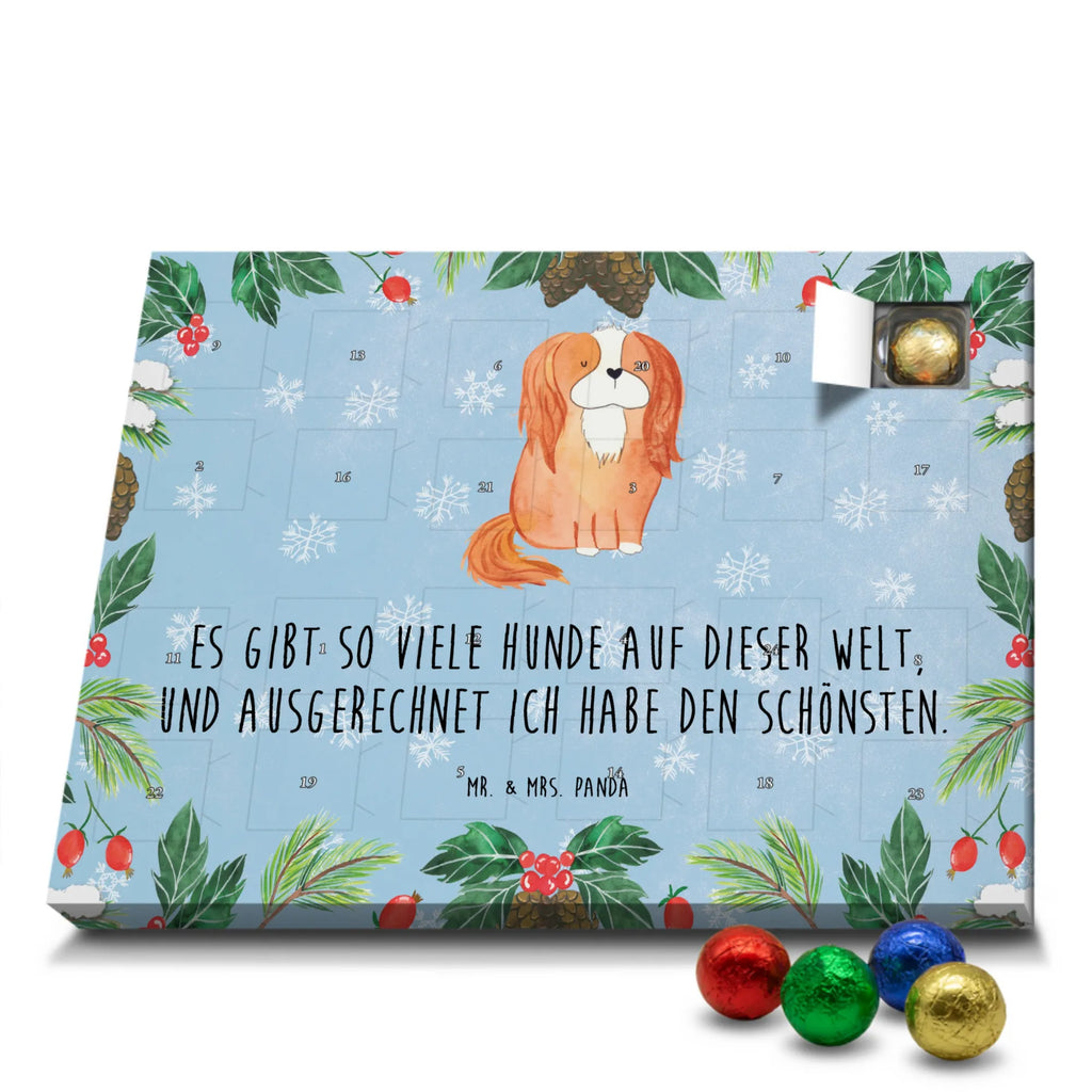 Schoko Adventskalender Hund Cavalier King Charles Spaniel Adventskalender, Schokoladen Adventskalender, Schoko Adventskalender, Hund, Hundemotiv, Haustier, Hunderasse, Tierliebhaber, Hundebesitzer, Sprüche, Cavalier King Charles Spaniel, Cockerspaniel, Spaniel, Spruch, schönster Hund