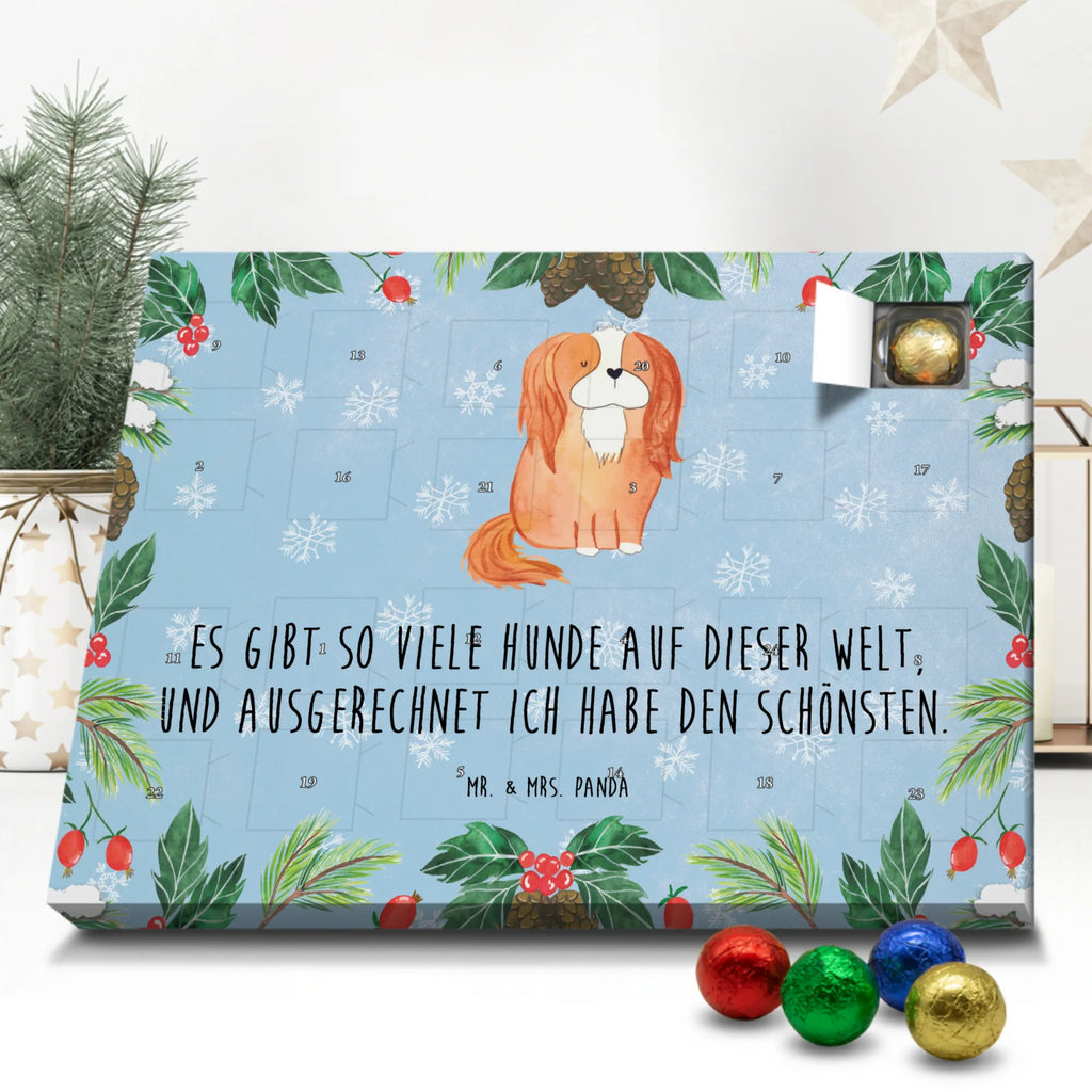 Schoko Adventskalender Hund Cavalier King Charles Spaniel Adventskalender, Schokoladen Adventskalender, Schoko Adventskalender, Hund, Hundemotiv, Haustier, Hunderasse, Tierliebhaber, Hundebesitzer, Sprüche, Cavalier King Charles Spaniel, Cockerspaniel, Spaniel, Spruch, schönster Hund