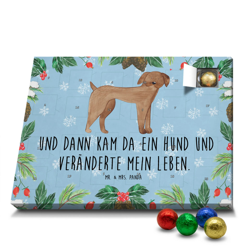 Schoko Adventskalender Hund Dogge Adventskalender, Schokoladen Adventskalender, Schoko Adventskalender, Hund, Hundemotiv, Haustier, Hunderasse, Tierliebhaber, Hundebesitzer, Sprüche, Hunde, Dogge, Deutsche Dogge, Great Dane