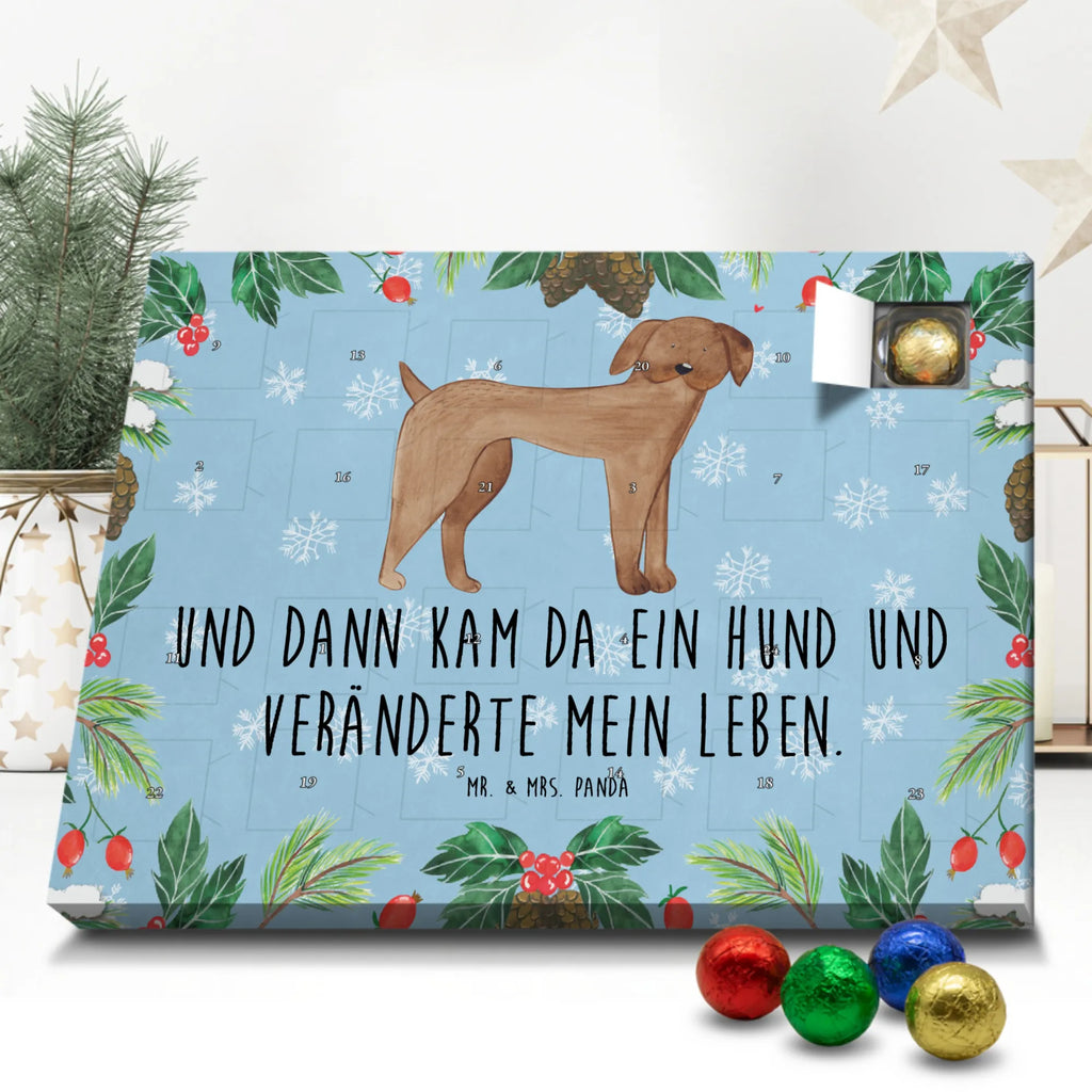 Schoko Adventskalender Hund Dogge Adventskalender, Schokoladen Adventskalender, Schoko Adventskalender, Hund, Hundemotiv, Haustier, Hunderasse, Tierliebhaber, Hundebesitzer, Sprüche, Hunde, Dogge, Deutsche Dogge, Great Dane