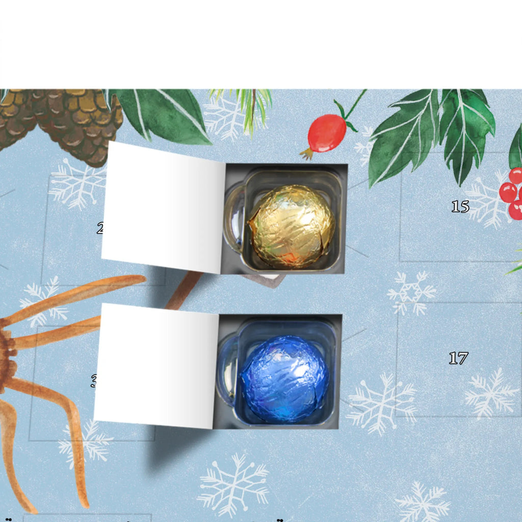 Schoko Adventskalender Spinne Agathe Motivation Adventskalender, Schokoladen Adventskalender, Schoko Adventskalender, Spinne Agathe, Spinne, Agathe, Videos, Merchandise, Motivation, Glück, Liebe, Vertrauen, Dankeschön