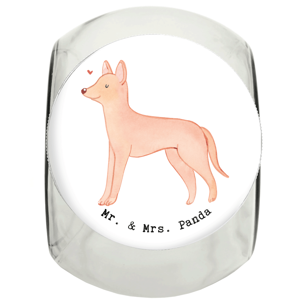 Leckerli Glas Pharaonenhund Moment Leckerli Glas, Leckerli Glas Hund, Leckerli Glas Katze, Leckerli Dose, Hundeleckerlies Behälter, Hund, Hunderasse, Rassehund, Hundebesitzer, Geschenk, Tierfreund, Schenken, Welpe, Pharaonenhund, Pharaoh Hound, Kelb tal-Fenek