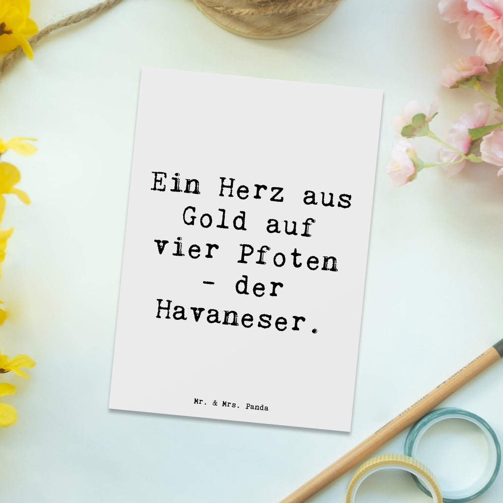 Postkarte Spruch Goldherz Havaneser Postkarte, Karte, Geschenkkarte, Grußkarte, Einladung, Ansichtskarte, Geburtstagskarte, Einladungskarte, Dankeskarte, Ansichtskarten, Einladung Geburtstag, Einladungskarten Geburtstag, Hund, Hunderasse, Rassehund, Hundebesitzer, Geschenk, Tierfreund, Schenken, Welpe