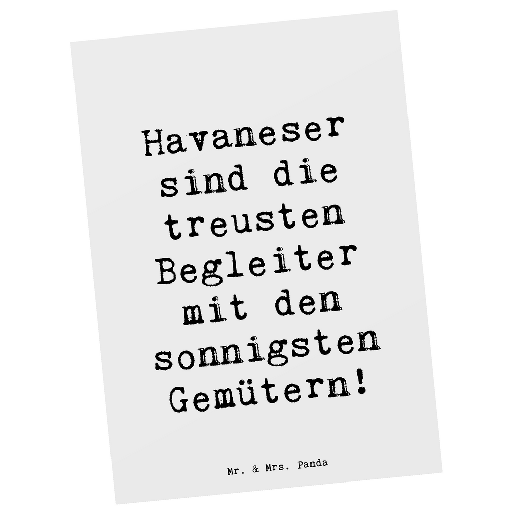 Postkarte Spruch Havaneser Begleiter Postkarte, Karte, Geschenkkarte, Grußkarte, Einladung, Ansichtskarte, Geburtstagskarte, Einladungskarte, Dankeskarte, Ansichtskarten, Einladung Geburtstag, Einladungskarten Geburtstag, Hund, Hunderasse, Rassehund, Hundebesitzer, Geschenk, Tierfreund, Schenken, Welpe