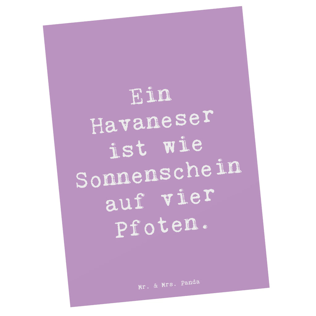 Postkarte Spruch Havaneser Sonnenschein Postkarte, Karte, Geschenkkarte, Grußkarte, Einladung, Ansichtskarte, Geburtstagskarte, Einladungskarte, Dankeskarte, Ansichtskarten, Einladung Geburtstag, Einladungskarten Geburtstag, Hund, Hunderasse, Rassehund, Hundebesitzer, Geschenk, Tierfreund, Schenken, Welpe