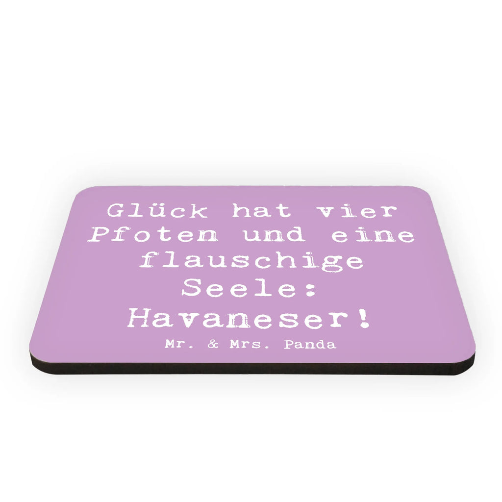 Magnet Spruch Havaneser Glück Kühlschrankmagnet, Pinnwandmagnet, Souvenir Magnet, Motivmagnete, Dekomagnet, Whiteboard Magnet, Notiz Magnet, Kühlschrank Dekoration, Hund, Hunderasse, Rassehund, Hundebesitzer, Geschenk, Tierfreund, Schenken, Welpe