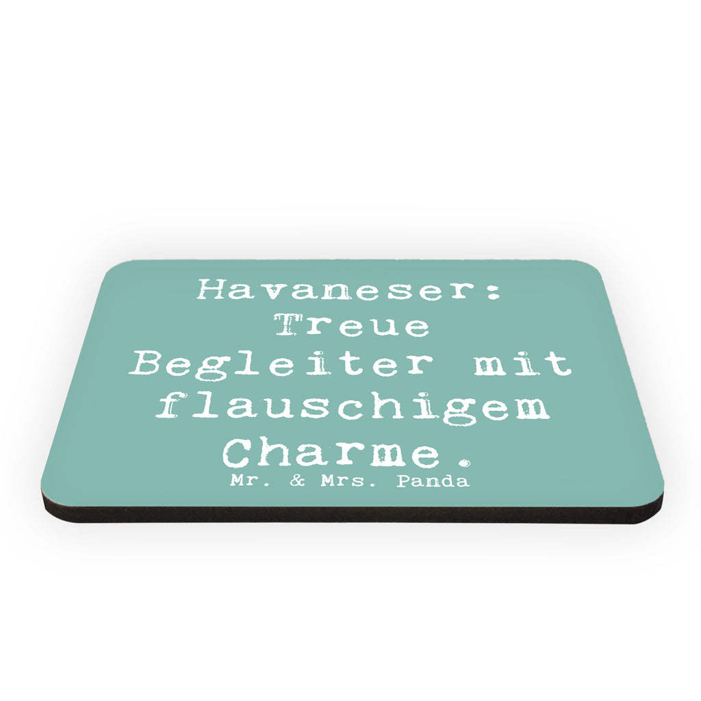 Magnet Spruch Havaneser Charme Kühlschrankmagnet, Pinnwandmagnet, Souvenir Magnet, Motivmagnete, Dekomagnet, Whiteboard Magnet, Notiz Magnet, Kühlschrank Dekoration, Hund, Hunderasse, Rassehund, Hundebesitzer, Geschenk, Tierfreund, Schenken, Welpe