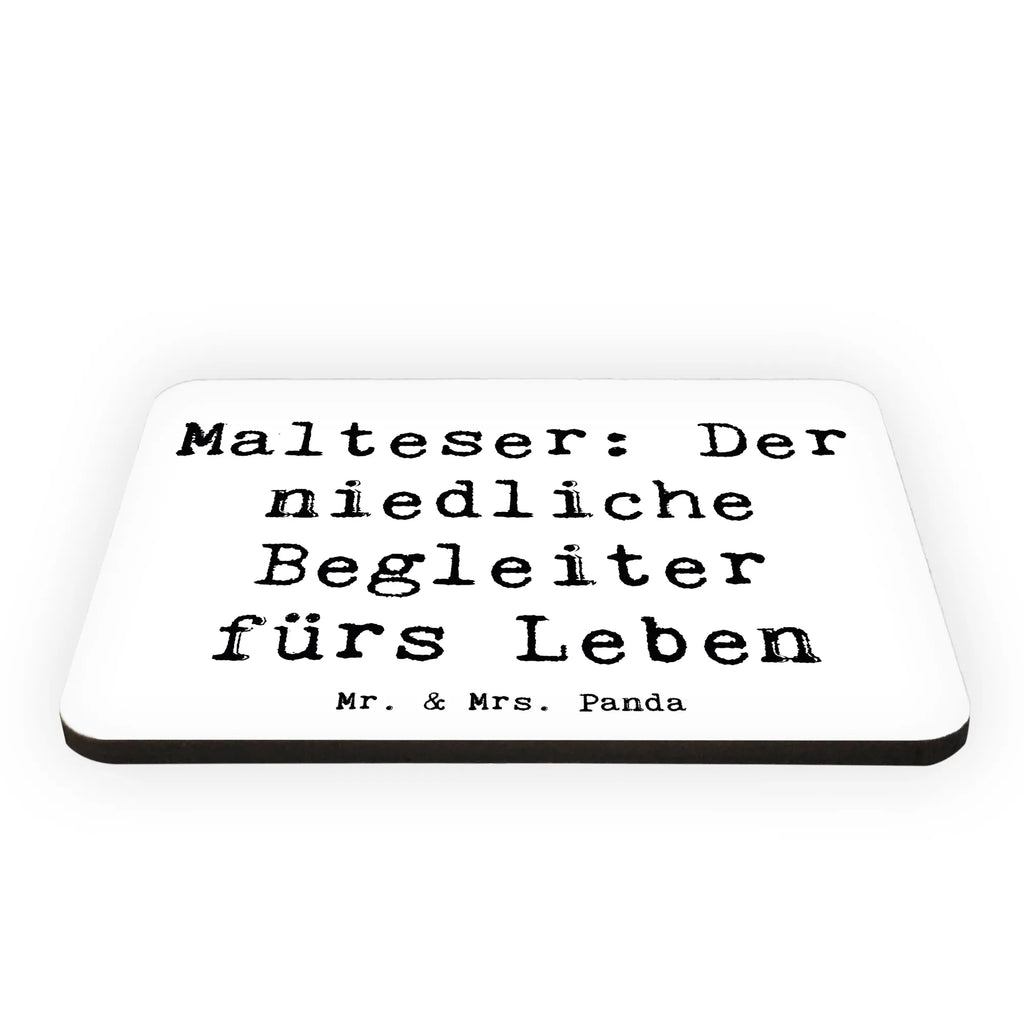 Magnet Spruch Malteser Begleiter Kühlschrankmagnet, Pinnwandmagnet, Souvenir Magnet, Motivmagnete, Dekomagnet, Whiteboard Magnet, Notiz Magnet, Kühlschrank Dekoration, Hund, Hunderasse, Rassehund, Hundebesitzer, Geschenk, Tierfreund, Schenken, Welpe