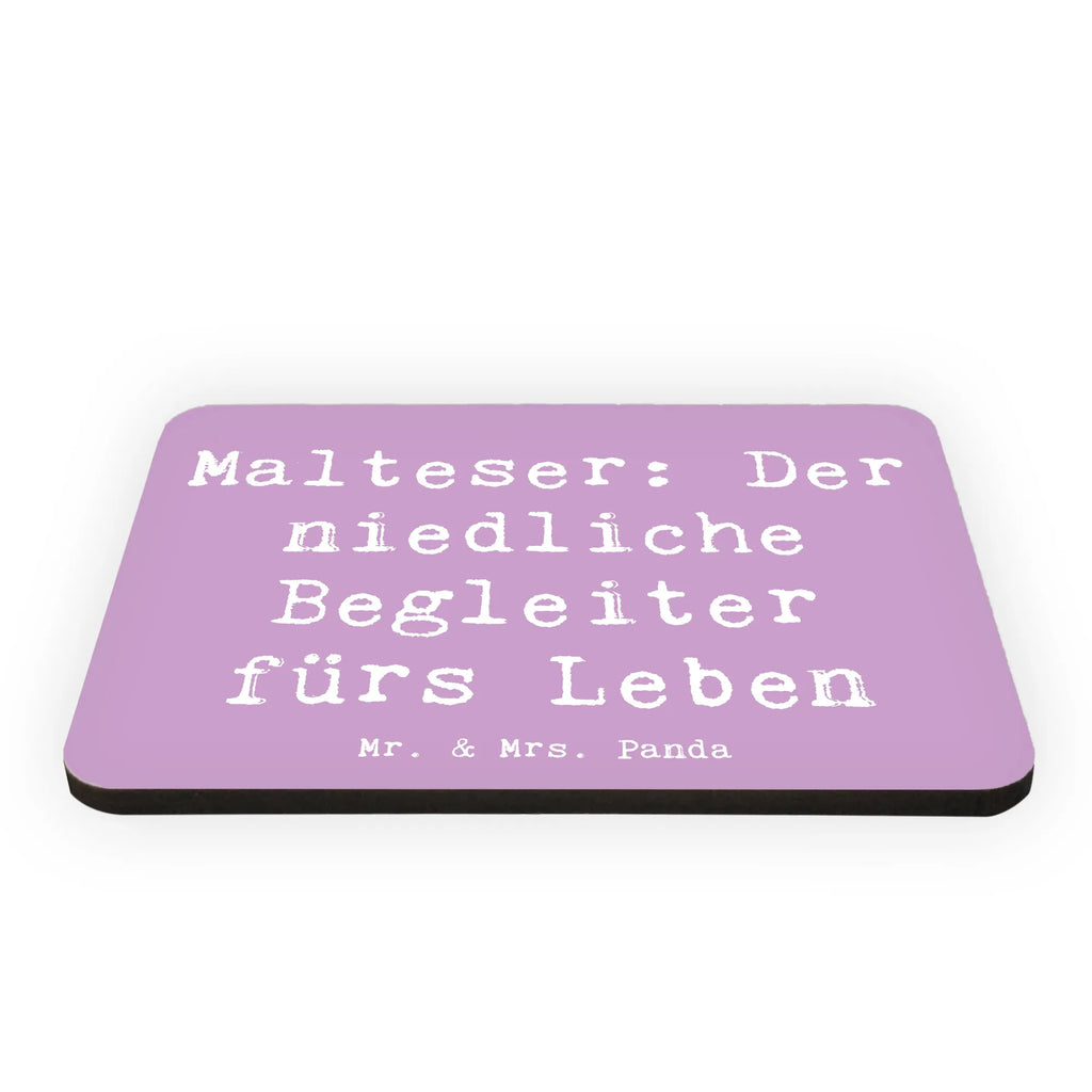 Magnet Spruch Malteser Begleiter Kühlschrankmagnet, Pinnwandmagnet, Souvenir Magnet, Motivmagnete, Dekomagnet, Whiteboard Magnet, Notiz Magnet, Kühlschrank Dekoration, Hund, Hunderasse, Rassehund, Hundebesitzer, Geschenk, Tierfreund, Schenken, Welpe