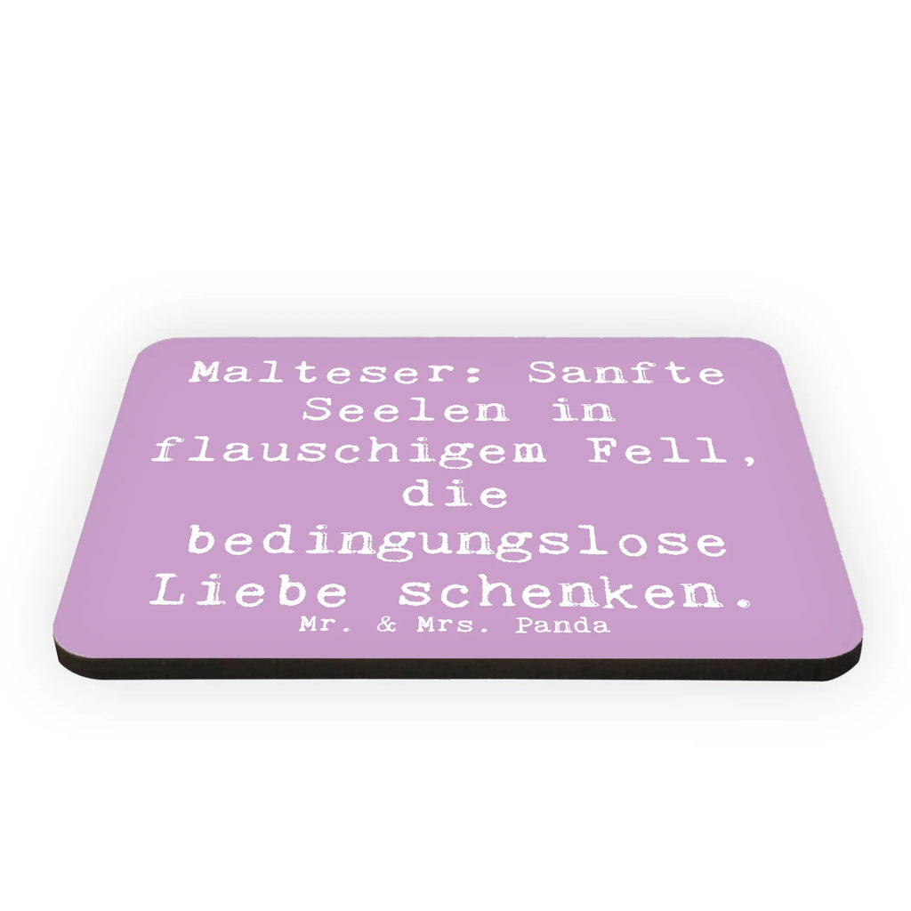 Magnet Spruch Malteser Liebe Kühlschrankmagnet, Pinnwandmagnet, Souvenir Magnet, Motivmagnete, Dekomagnet, Whiteboard Magnet, Notiz Magnet, Kühlschrank Dekoration, Hund, Hunderasse, Rassehund, Hundebesitzer, Geschenk, Tierfreund, Schenken, Welpe